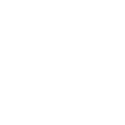 Icon close